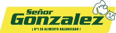 Logo Señor Gonzalez